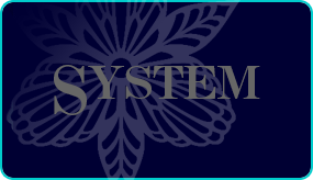 System