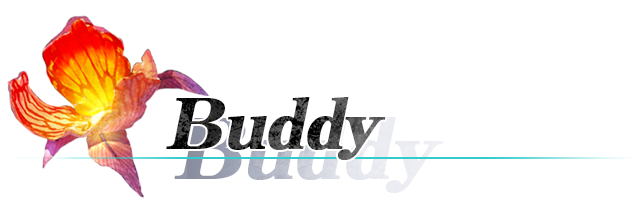 Buddy